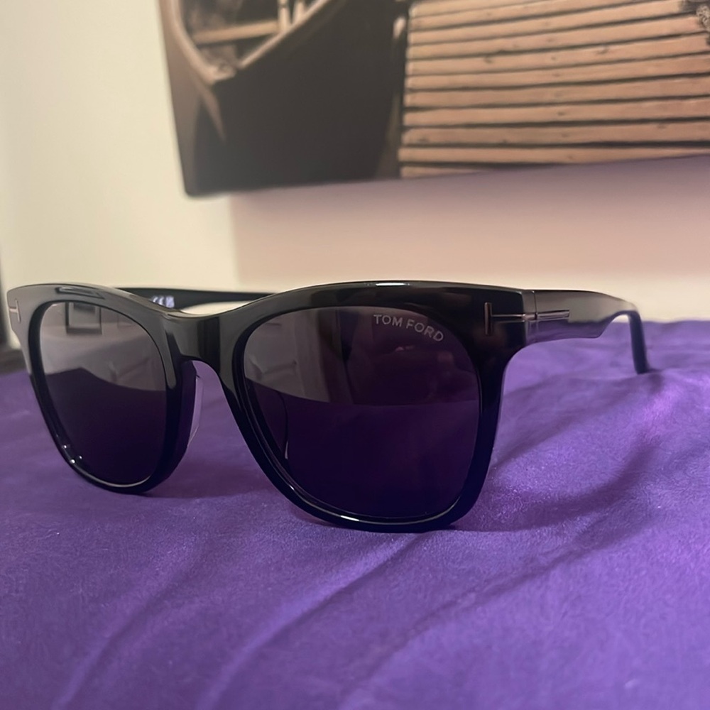 Tom Ford Brooklyn Sunglasses